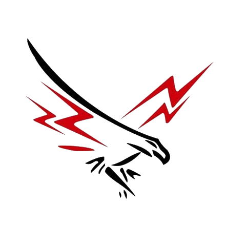 MRHS Falcon Logo